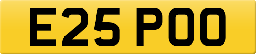 E25POO