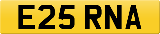 E25RNA