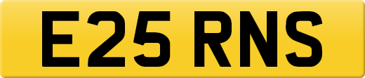 E25RNS