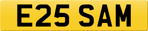 E25SAM
