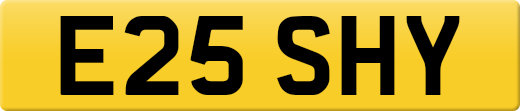 E25SHY