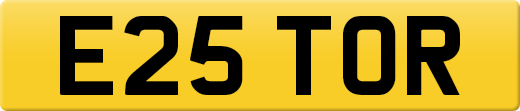 E25TOR