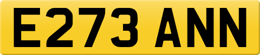 E273ANN