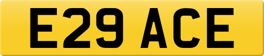 E29ACE