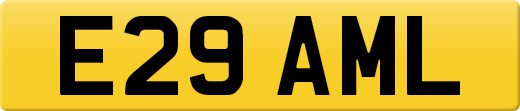 E29AML