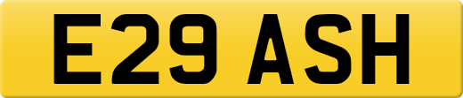 E29ASH
