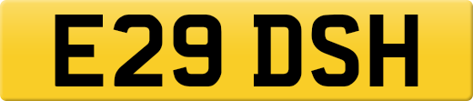 E29DSH