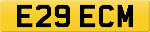 E29ECM