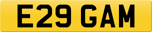 E29GAM