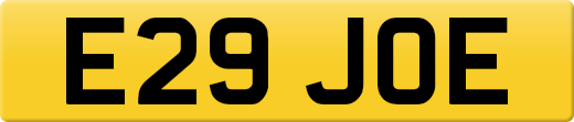 E29JOE