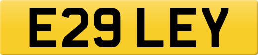 E29LEY
