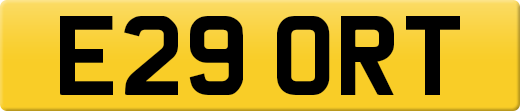 E29ORT