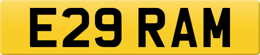 E29RAM