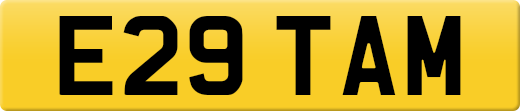E29TAM
