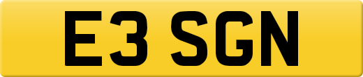 E3SGN