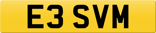 E3SVM