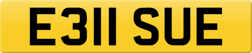 E311SUE