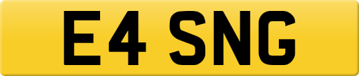 E4SNG
