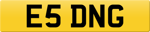 E5DNG