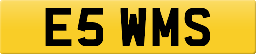 E5WMS