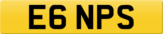E6NPS