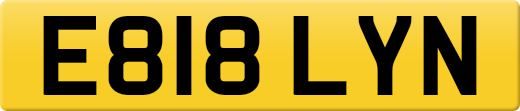 E818LYN