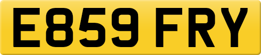 E859FRY