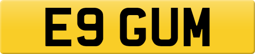 E9GUM