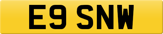 E9SNW