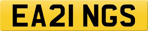 EA21NGS