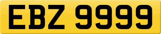 EBZ9999