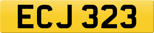 ECJ323