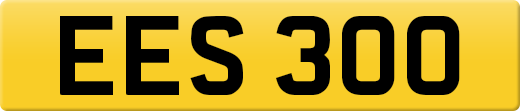 EES300