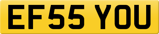 EF55YOU