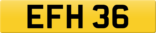 EFH36