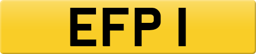 EFP1