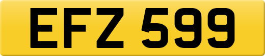 EFZ599