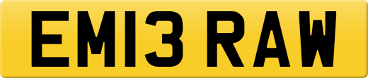 EM13RAW