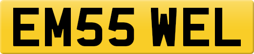 EM55WEL