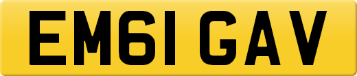 EM61GAV