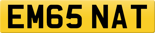 EM65NAT