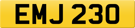EMJ230