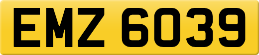 EMZ6039
