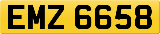 EMZ6658