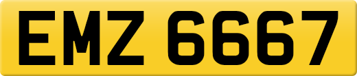 EMZ6667