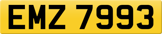 EMZ7993