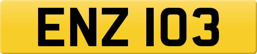 ENZ103