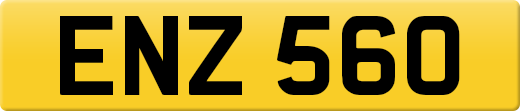 ENZ560