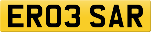 ER03SAR