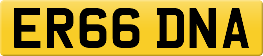 ER66DNA